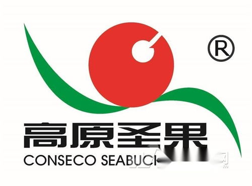 高原圣果沙棘制品 同順廣告?zhèn)髅?，讓健康與品牌同頻共振